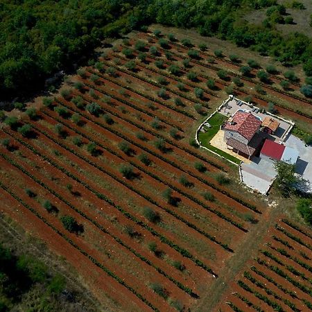 Villa Relax House Surrounded By Olives And Vineyard Stifanići Exterior foto