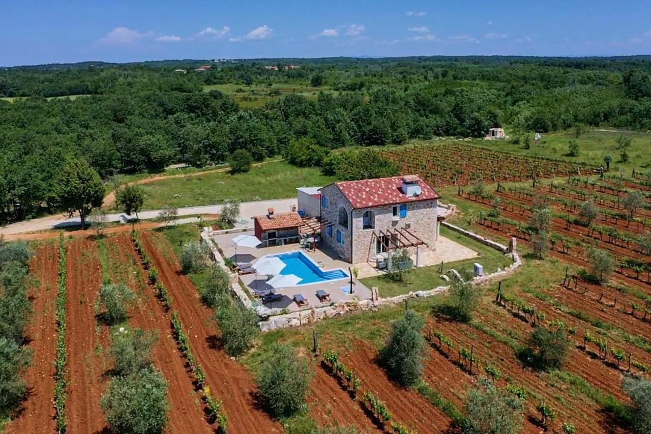 Villa Relax House Surrounded By Olives And Vineyard Stifanići Exterior foto