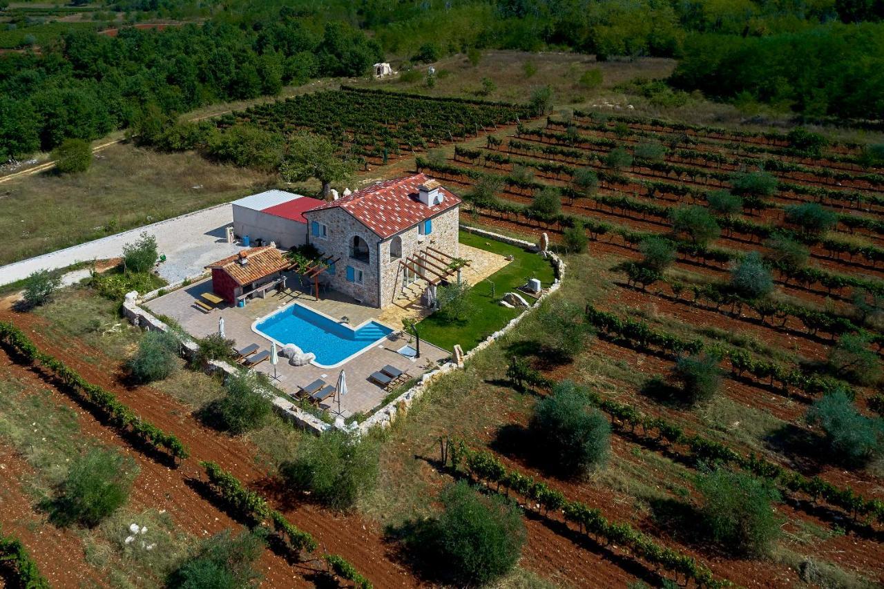 Villa Relax House Surrounded By Olives And Vineyard Stifanići Exterior foto