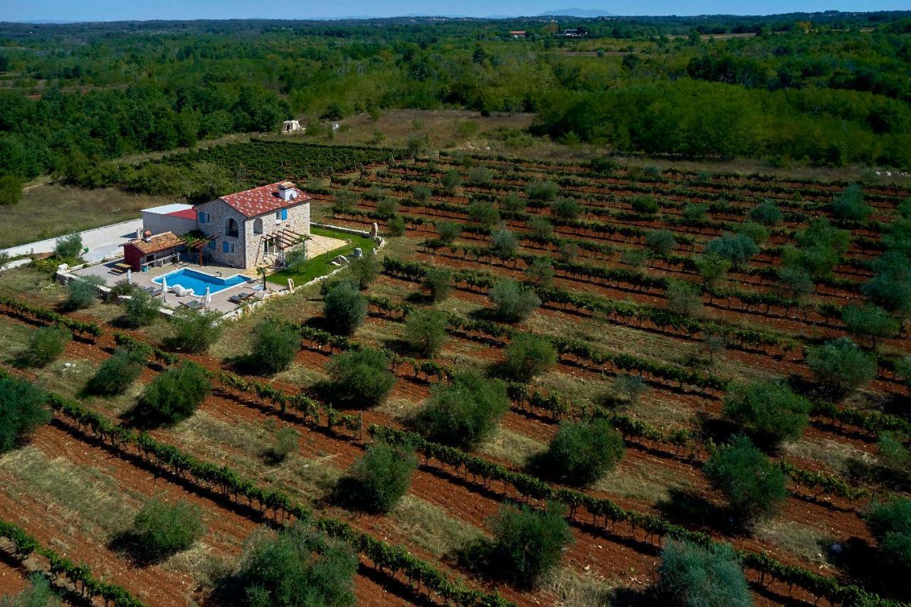 Villa Relax House Surrounded By Olives And Vineyard Stifanići Exterior foto