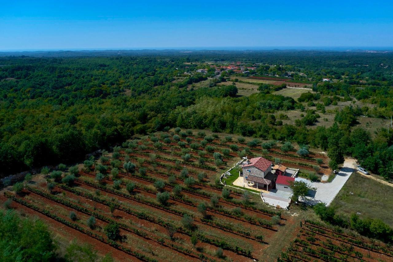 Villa Relax House Surrounded By Olives And Vineyard Stifanići Exterior foto