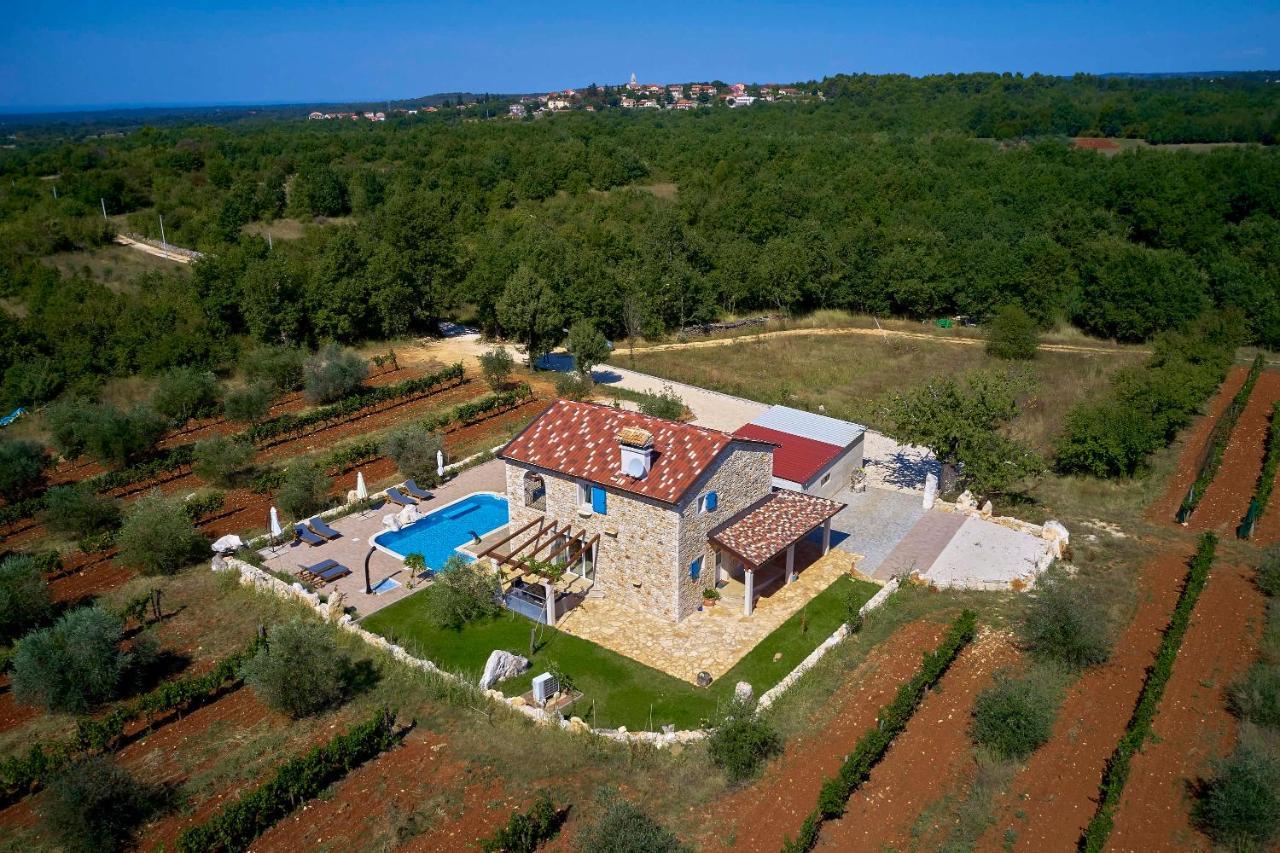 Villa Relax House Surrounded By Olives And Vineyard Stifanići Exterior foto