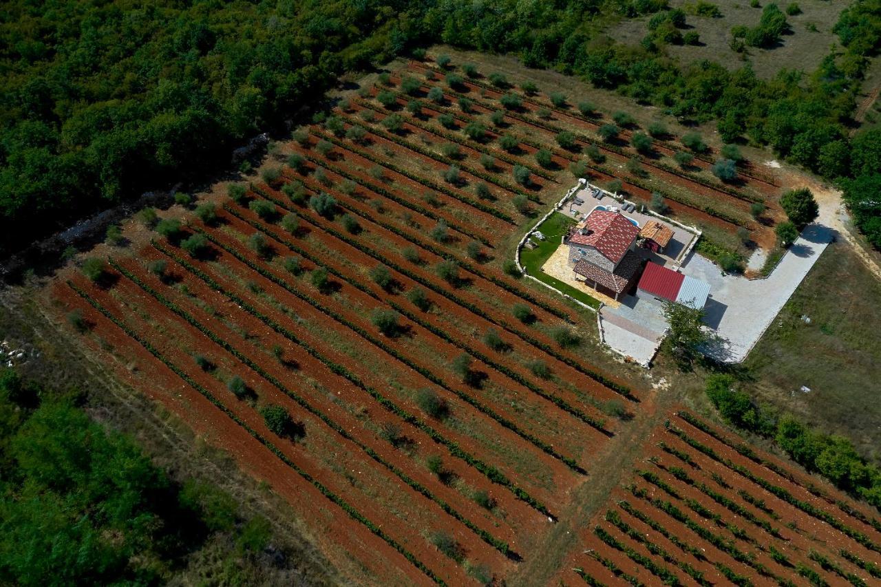 Villa Relax House Surrounded By Olives And Vineyard Stifanići Exterior foto