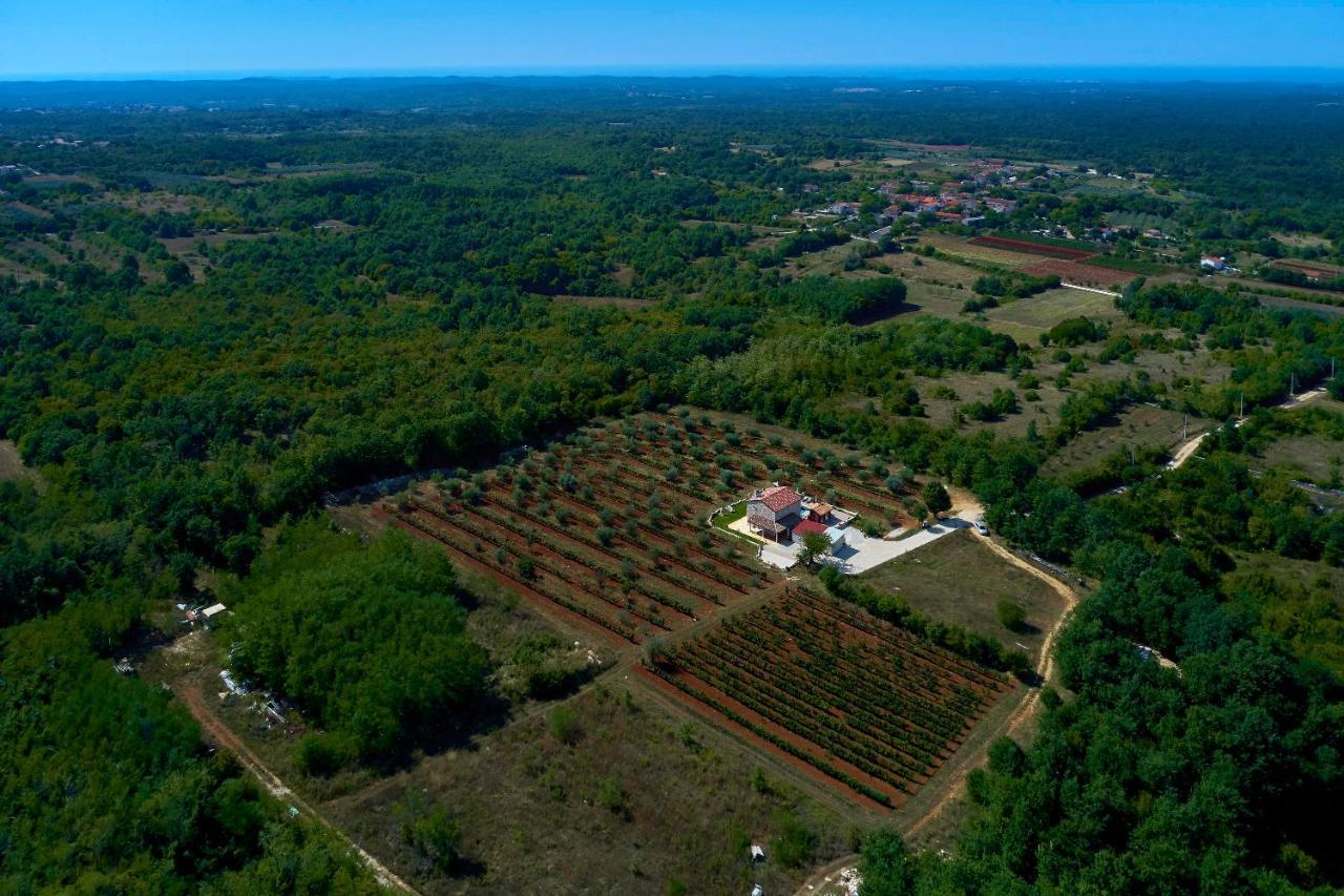 Villa Relax House Surrounded By Olives And Vineyard Stifanići Exterior foto