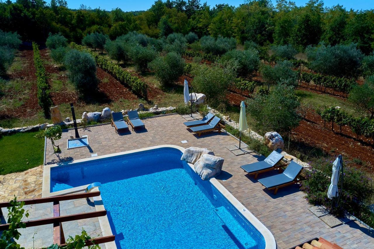 Villa Relax House Surrounded By Olives And Vineyard Stifanići Exterior foto